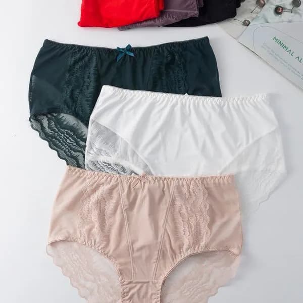 Majtki damskie Finella WN904104 rozmiary XL-XXL-XXXL