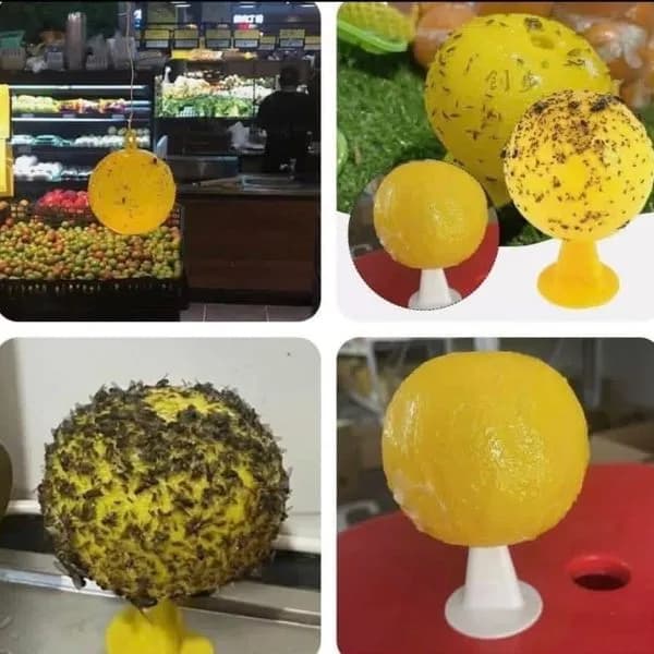 Kula Wylapująca Owady Żółta