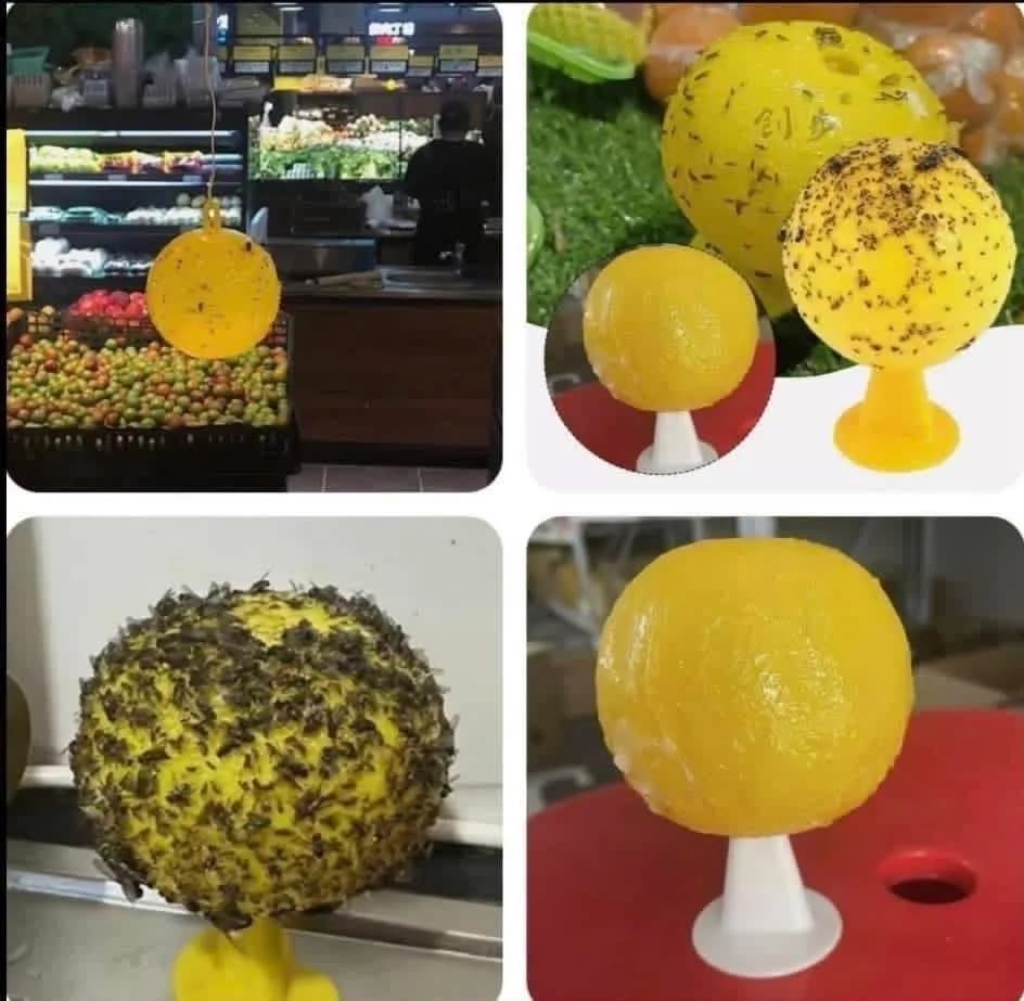 Kula Wylapująca Owady Żółta