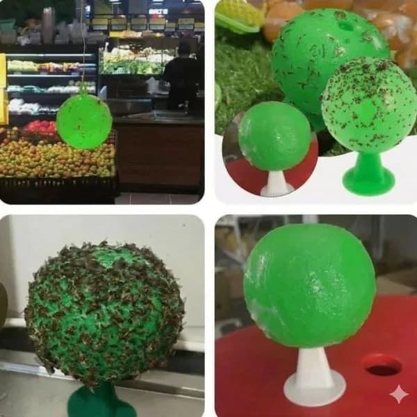 Kula Wylapujaca Owady