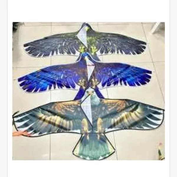 Latawiec orzeł 150x69cm