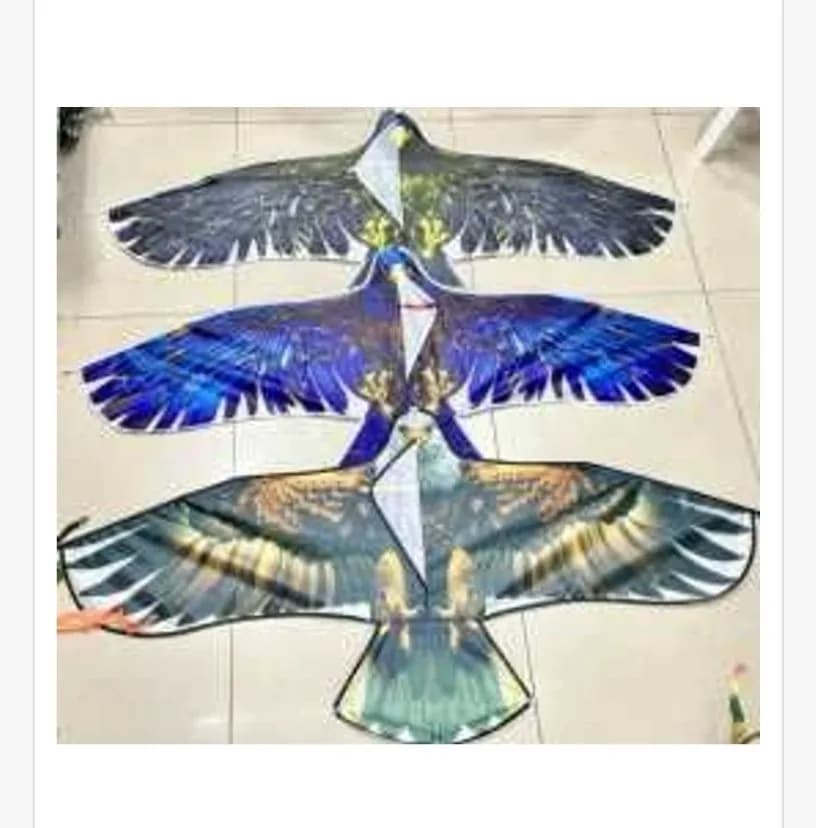 Latawiec orzeł 150x69cm