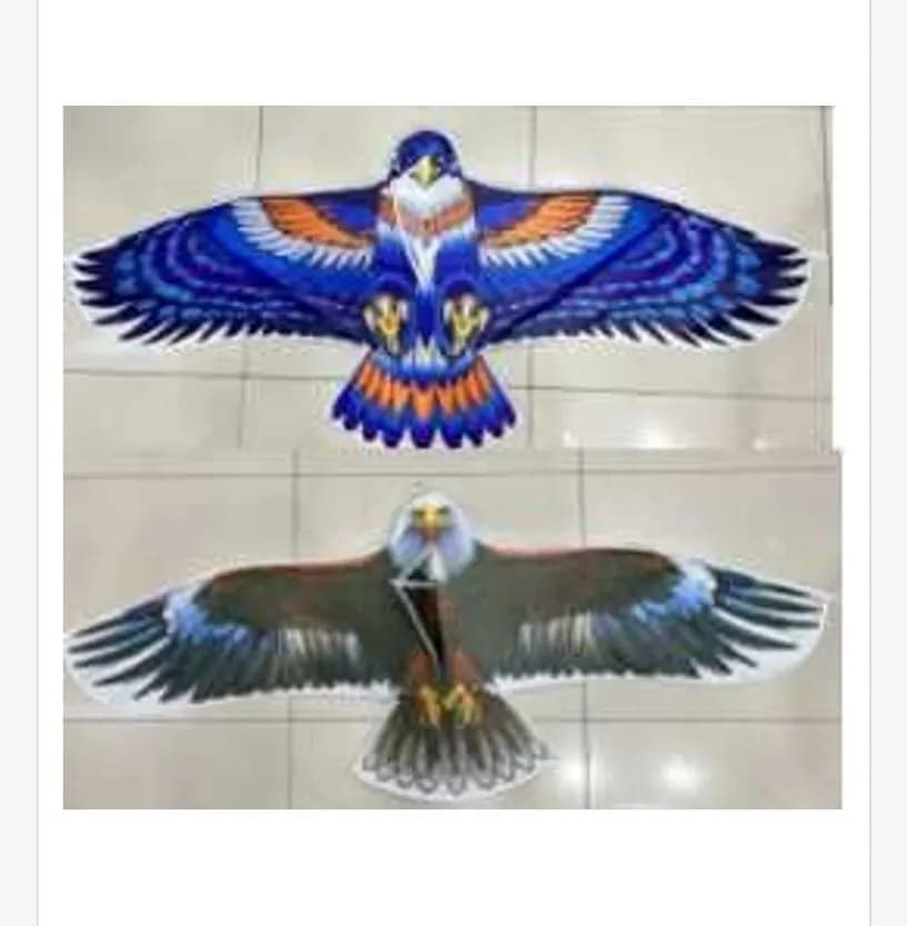 Latawiec orzeł 135x59cm