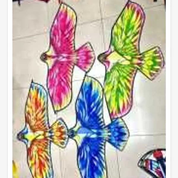 Latawiec 120x60cm wielobarwny ptak