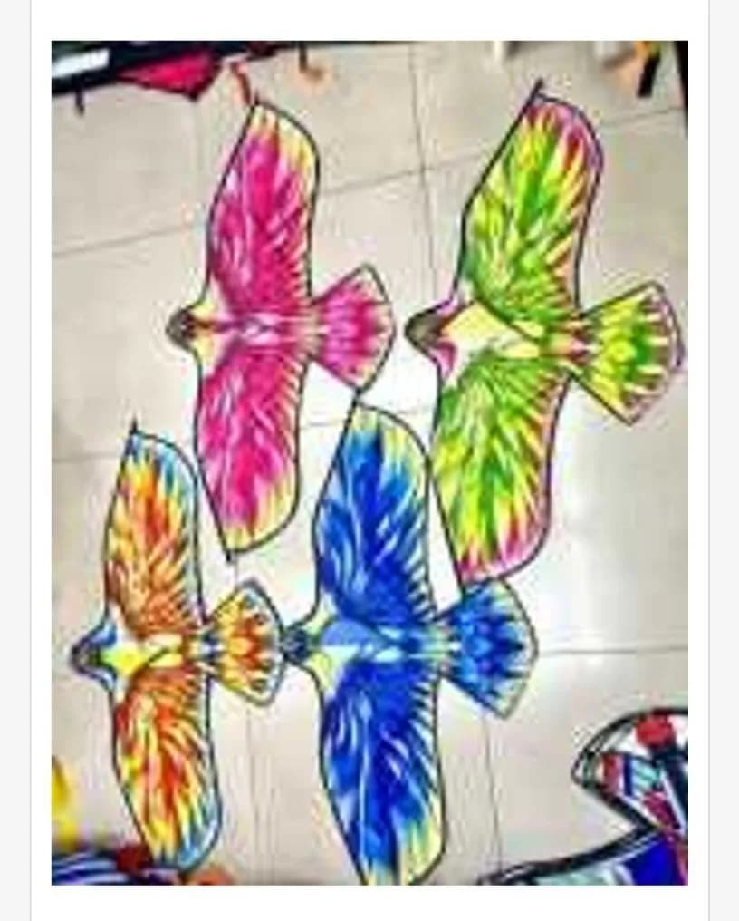 Latawiec 120x60cm wielobarwny ptak