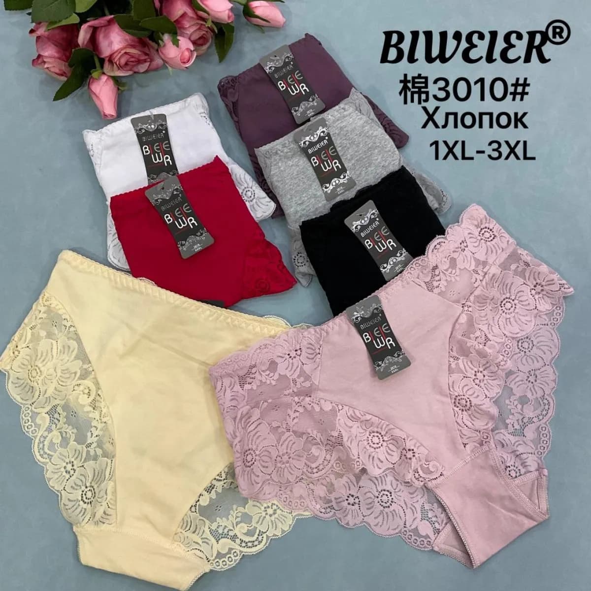 Majtki damskie Bwweiler 3010 1XL-3XL zestaw wielokolorowy