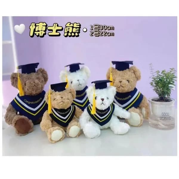 Maskotka Pluszowa Niedźwiadek Absolwent 20cm