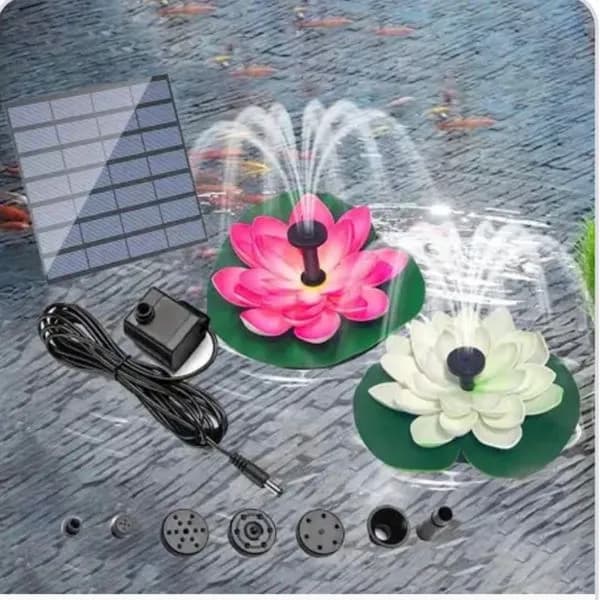 Lamki Dekoracja Ogrody