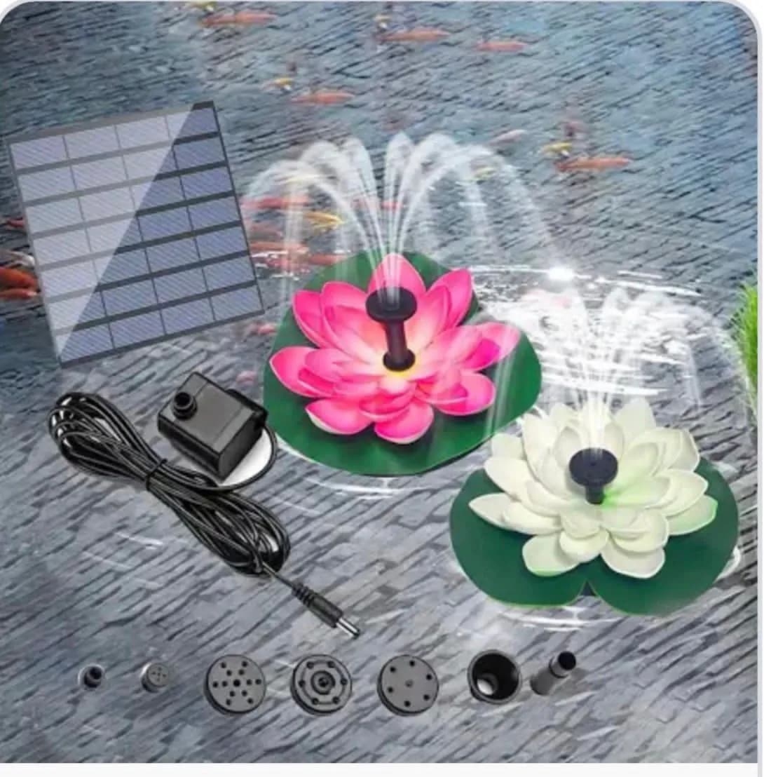 Lamki Dekoracja Ogrody