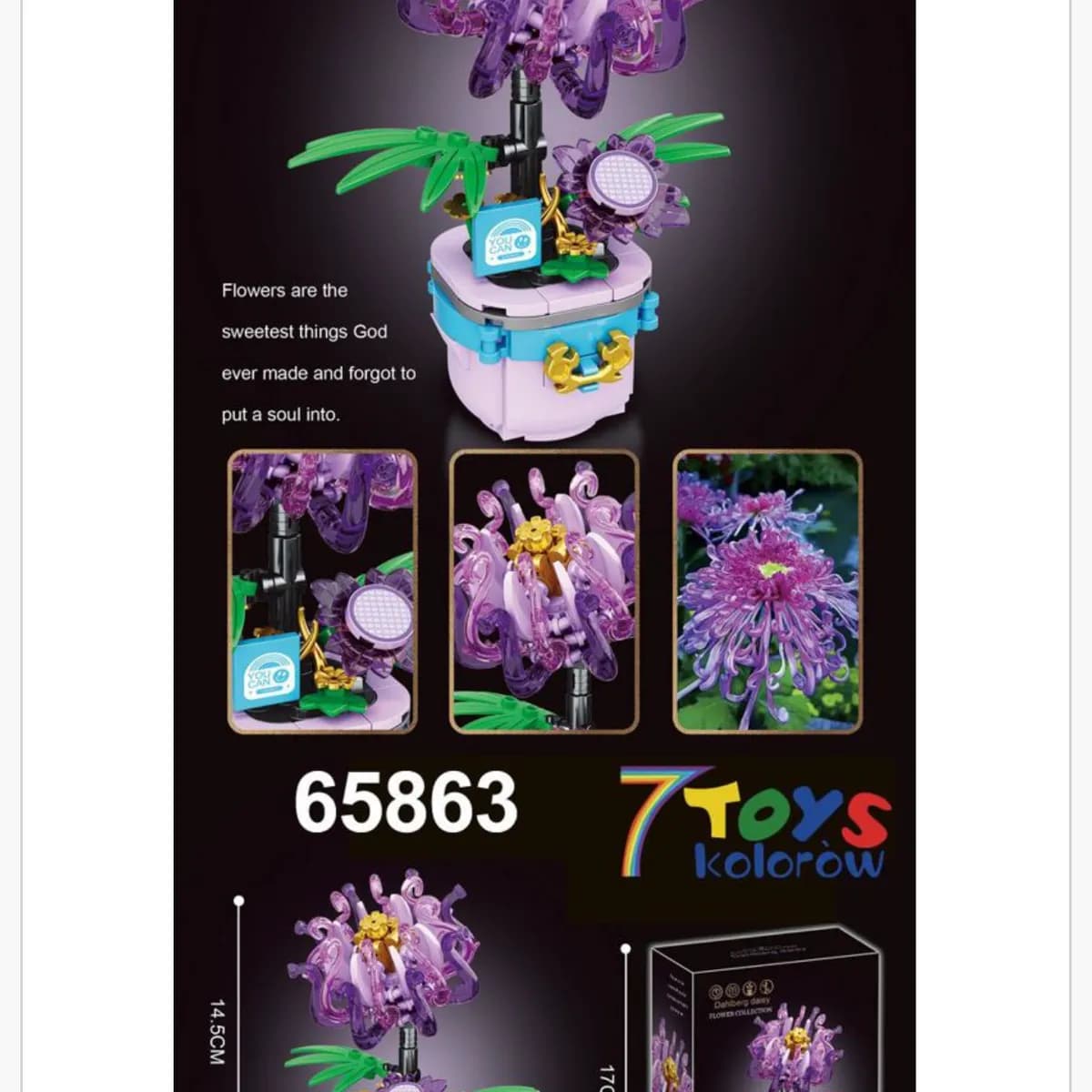 Klocki Kwiaty Dahlberg Daisy Fioletowe 14.5cm (12 szt.)