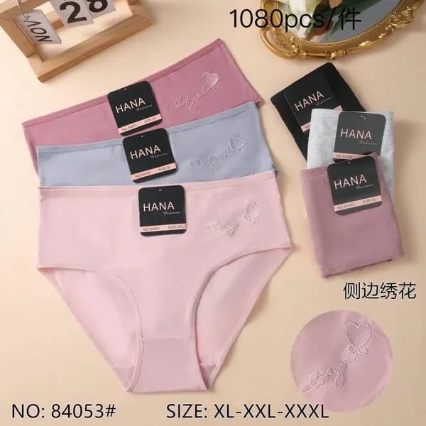 Majtki damskie bawełniane HANA haft XL-XXXL 24szt.