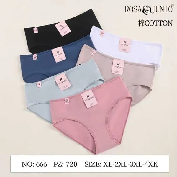 Majtki damskie bawełniane Rosa Junio, mix kolorów, rozmiary XL-4XL