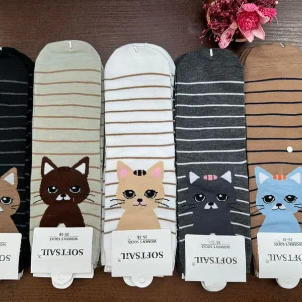 Skarpetki damskie z kotkami, 5 kolorów, 40 szt/opak.