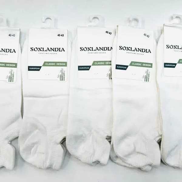 Skarpetki męskie Soxlandia Classic Design rozmiar 40-46