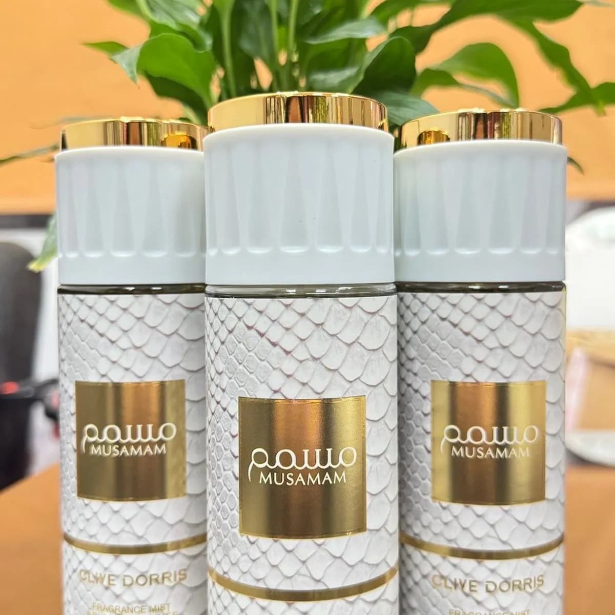 Dezodoeant w Spray 250ml