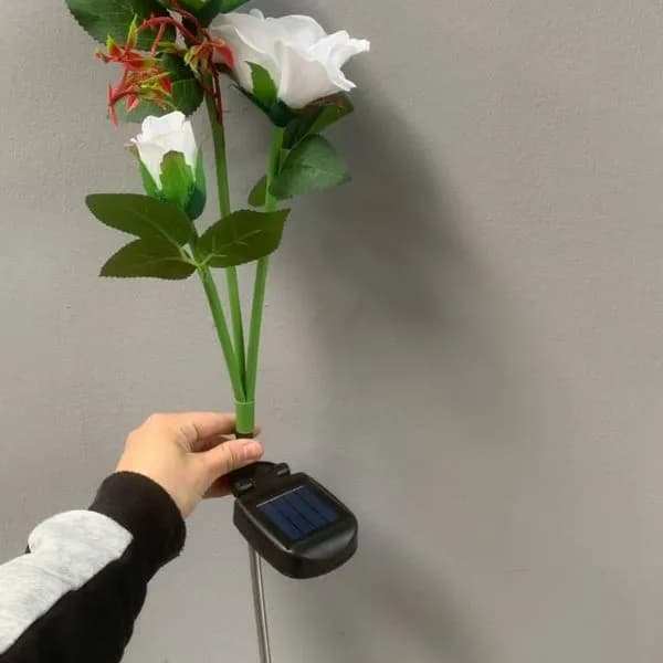 Zestaw Lampa Ogrody 2PCS