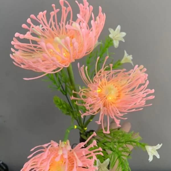 Zestaw Lampa Ogrody 2PCS