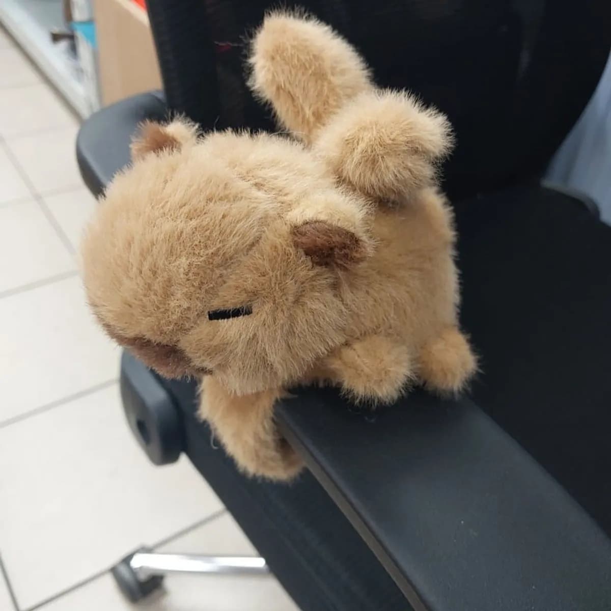 Maskotka pluszowa na rękę - brązowy miś, puszysta pacynka