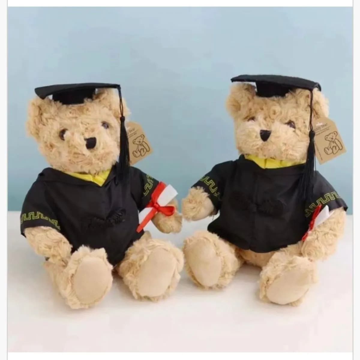 Maskotka Pluszowa Miś Absolwent w Todze i Birecie 12 szt.