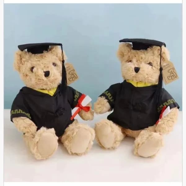Maskotka Pluszowa Miś Absolwent w Todze i Birecie 12 szt.