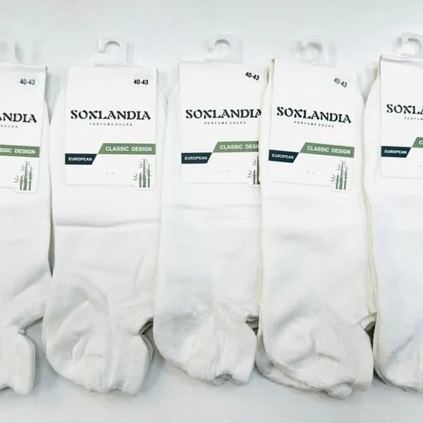 Skarpetki męskie Soxlandia Classic Design rozmiar 40-46