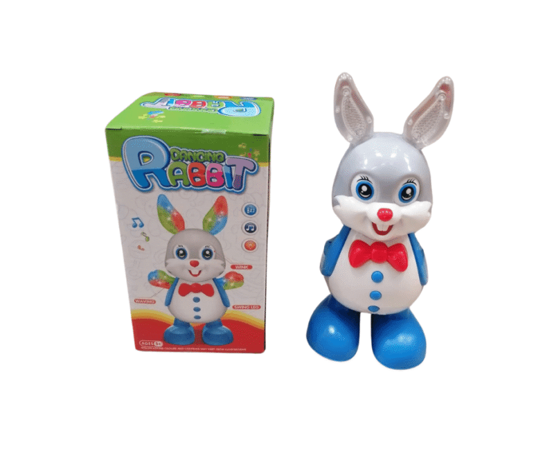 Rabbit Dancing Music Funny 1