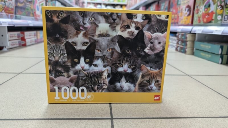 Puzzle 1000 Elementów Koty