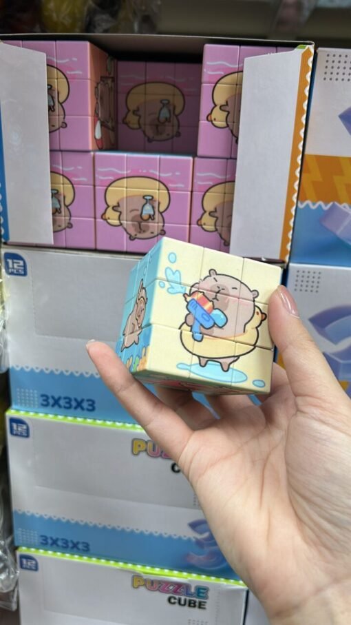 Rubik Cube Kapybara
