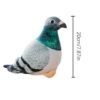 Anh WhatsApp 2025 06 03 luc 18.19.38 eb53ad38